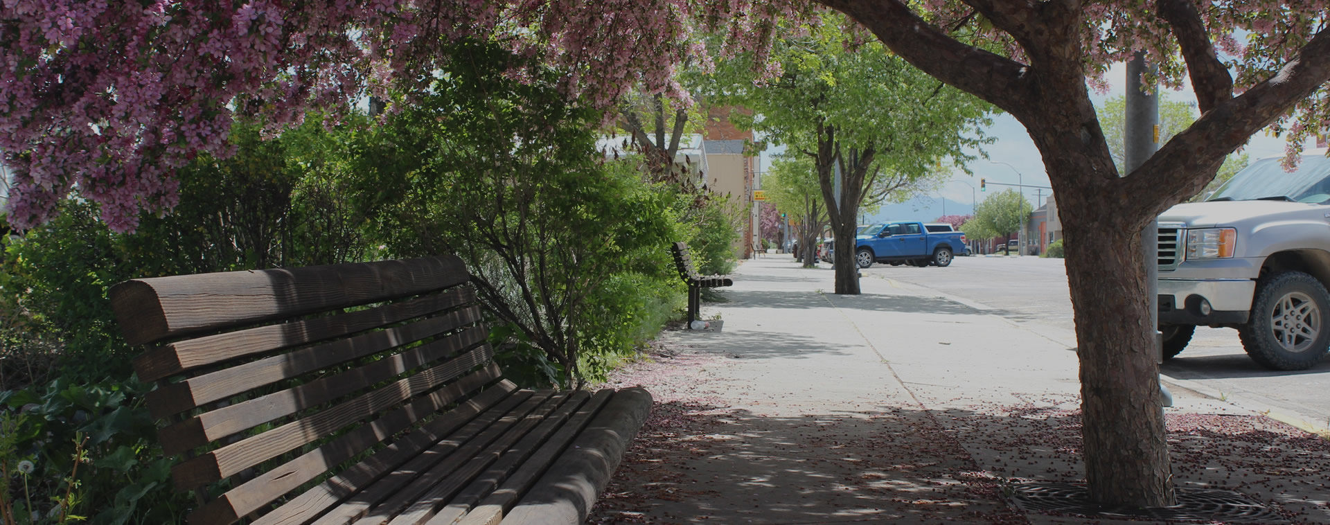 Downtown Douglas