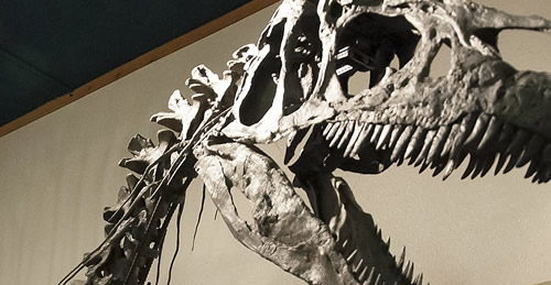 Paleon Museum