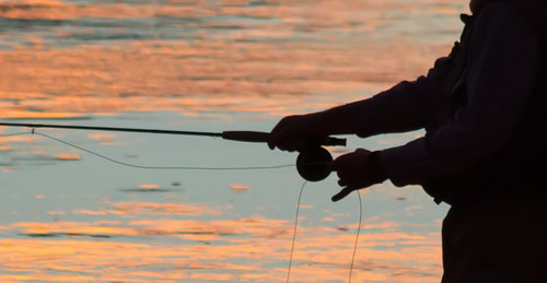 Fish With Us!