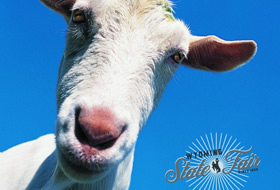 Wyoming State Fair