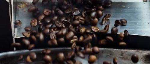 Sip's Coffee Company